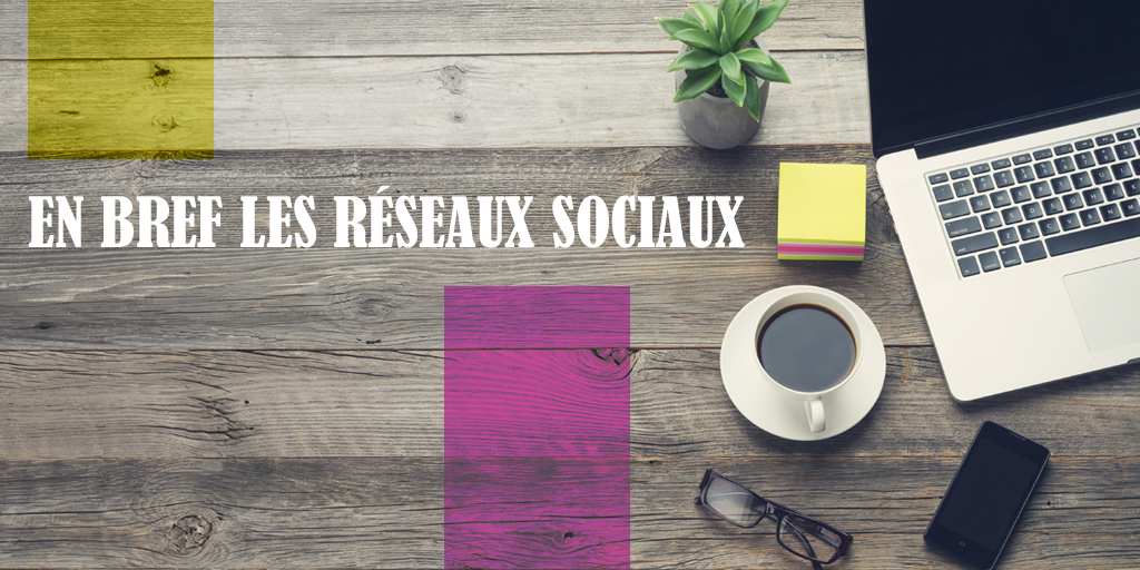 En bref les réseaux sociaux