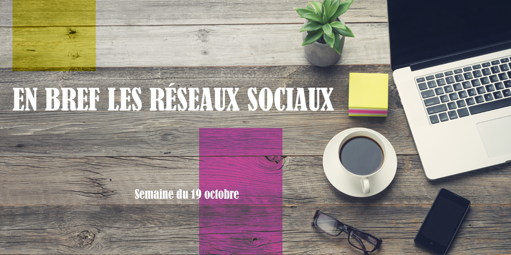 (Français) En bref les réseaux sociaux